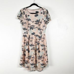 ADRIANNA PAPELL Pink Embroidered Mesh Overlay Fit & Flare Pleated Dress Size 8